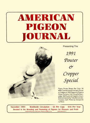Click for larger image